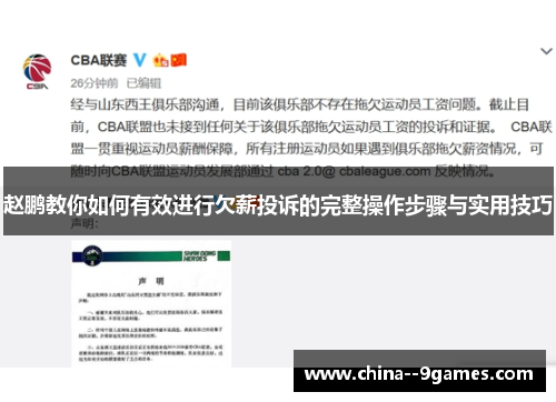 赵鹏教你如何有效进行欠薪投诉的完整操作步骤与实用技巧