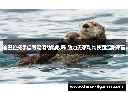 迪巴拉携手倡导流浪动物收养 助力无家动物找到温暖家园