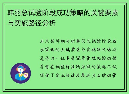 韩羽总试验阶段成功策略的关键要素与实施路径分析