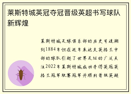 莱斯特城英冠夺冠晋级英超书写球队新辉煌